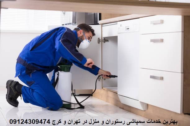 سمپاشی سوسک در رستوران و داخل کابینت توسط پرسنل سمپاشی بهار