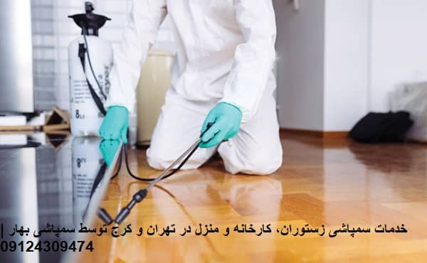 سمپاشی سوسک در رستوران کنج دیوارها بوسیله پرسنل شرکت سمپاشی بهار