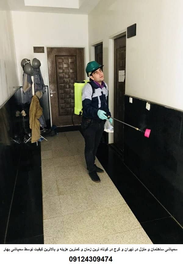 سمپاشی منزل توسط پرسنل شرکت سمپاشی بهار