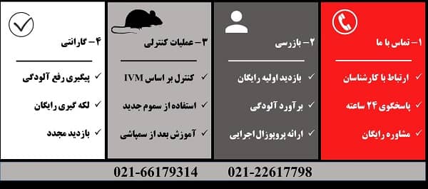 سمپاشی منزل - شرکت سمپاشی بهار